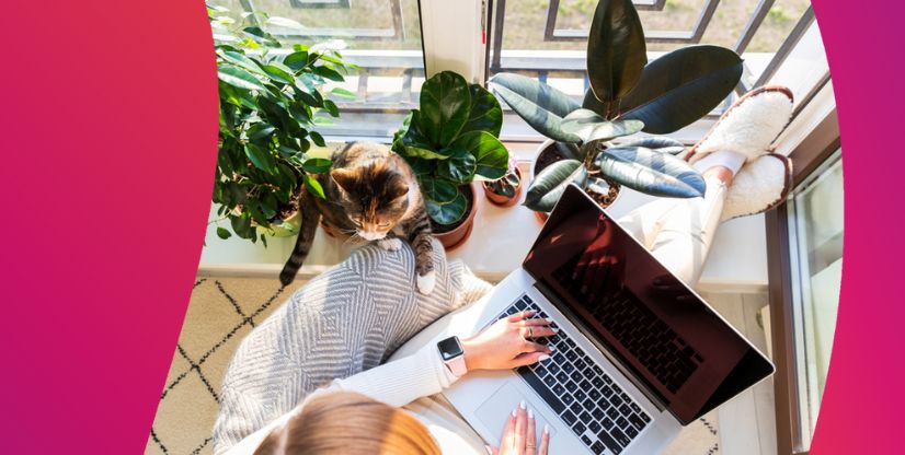 Person at home using laptop with cat nearby